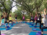 Body Flows Yoga Retreats with Sally Mitchell